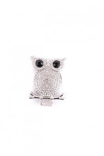 Load image into Gallery viewer, Owl  magnetic brooch
