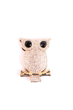 Load image into Gallery viewer, Owl  magnetic brooch
