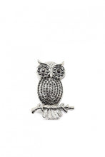 Load image into Gallery viewer, Owl pin brooch
