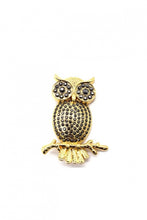 Load image into Gallery viewer, Owl pin brooch
